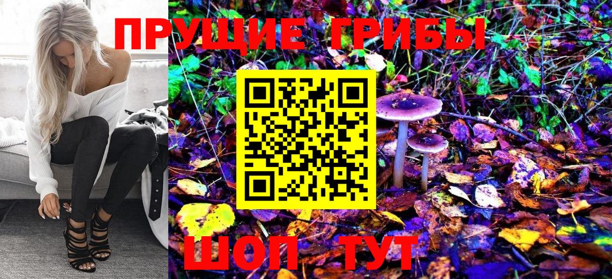 купить   Псилоцибиновые грибы Magic Shrooms  Вход с VPN  Псилоцибиновые грибы мухоморы  Котельники 